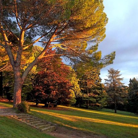 Domaine De Gailhaguet B&B Verfeil  Zewnętrze zdjęcie
