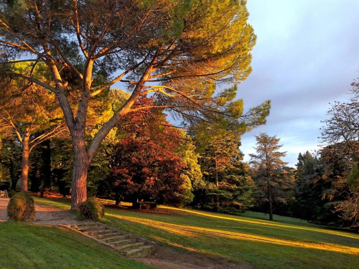 Domaine De Gailhaguet B&B Verfeil  Zewnętrze zdjęcie